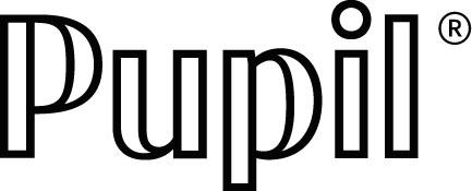 Digital Realty FZ-LLC (aka Pupil)